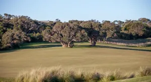 Image of St Georges Moonah Links