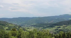 Image of Le Domaine d'Emma : Le Golden
