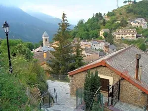 Image of Stella Alpina