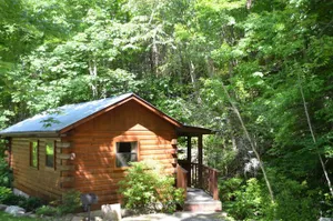 Image of Panther Creek Cabins