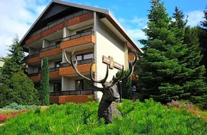 Image of Hotel Zum Goldenen Hirsch