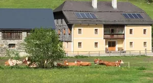 Image of Ferienwohnung Moarhofer