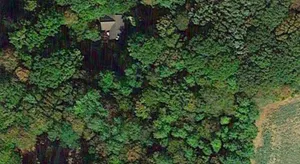 Image of Holy Wood