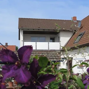 Image of Spira House
