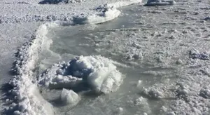 Image of Ferienwohnung Haus Rügen