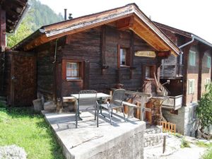 Image of Holleri