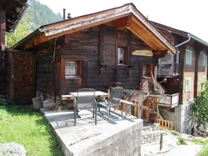 Image of Holleri