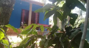 Image of Dambulla Sun Vsh Holiday