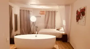 Image of Duplex de charme Laguna - Centre Niort Historique