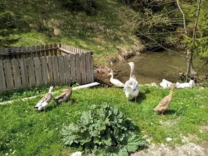 Image of Boutique Hotel LechZeit