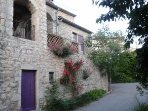 Image of Domaine de Peyre Brune