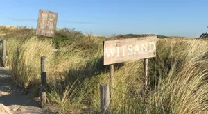 Image of Salt Life Beachhouse