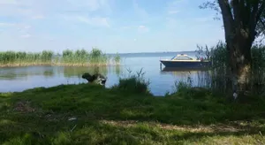 Image of Ferienwohnung Röbel/Müritz