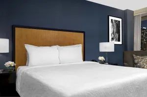 Image of Hilton Garden Inn Times Square