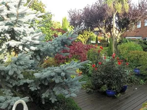 Image of The Peels B&B