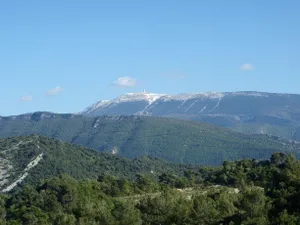 Image of Le Mas des Eglantiers
