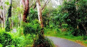Image of Bella Vista B @ B