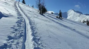 Image of Sonnen-Appartement Heidi