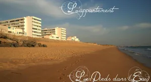 Image of Auxmouettes GV2