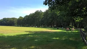Image of Boerderij De Enkhoeve