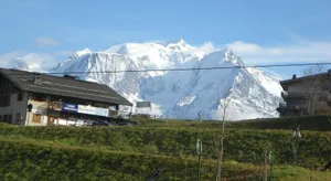 Image of Orée des pistes
