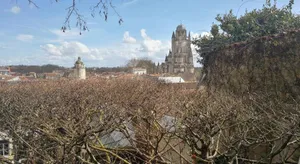 Image of Un jardin sur le toit - Saintes
