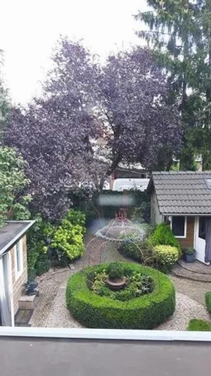 Image of Het Woonrijk