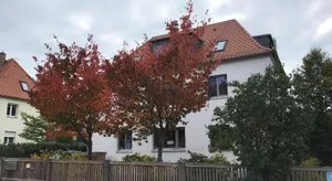 Image of 5 Star - Favorite Flat Between Dresden And Meissen With Bicycle Rental