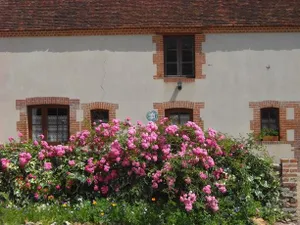 Image of Gites des Barres