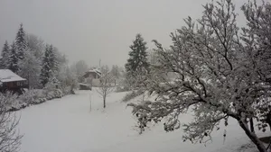Image of Haus Becky