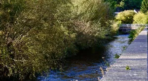 Image of Le repos du Wayai