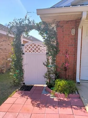 Image of Destin Daydream