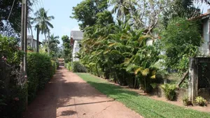 Image of Cinnamon Bungalow