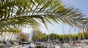 Image of Cocon avec balcon