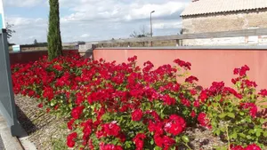 Image of Camping Lot et Bastides