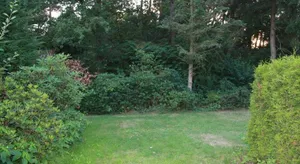 Image of Bungalow Hartje Veluwe