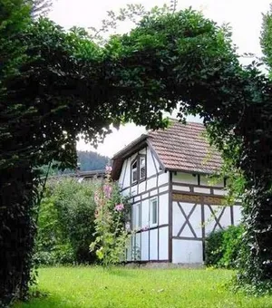 Image of Liebenzeller Adler