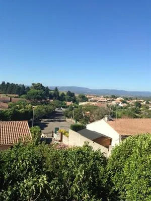 Image of Les Orchidées