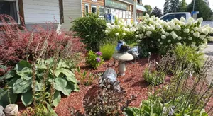 Image of Bear Cove Inn