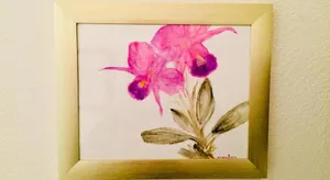 Image of Pacific Beach Butterfly Suite