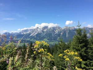 Image of Apartement Laura by Schladmingurlaub