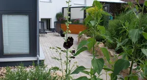 Image of Ferienwohnung Lippert