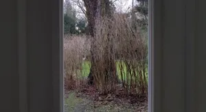 Image of Beautiful House in Zehlendorf