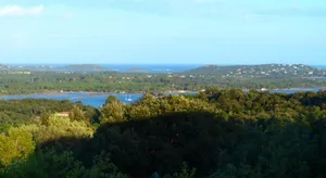 Image of BAVELA