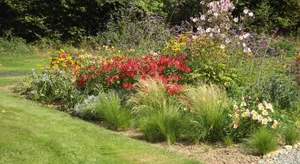 Image of Chez Lili