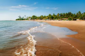 Image of Tapasya Resort