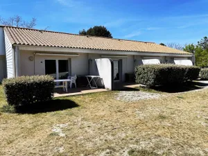 Image of Adonis Oleron By Olydea