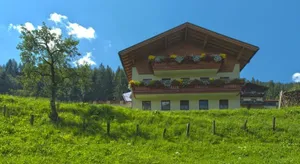 Image of Hausebengut