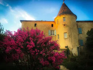 Image of Chateau Gros Puy