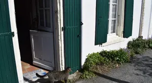 Image of La maison du facteur